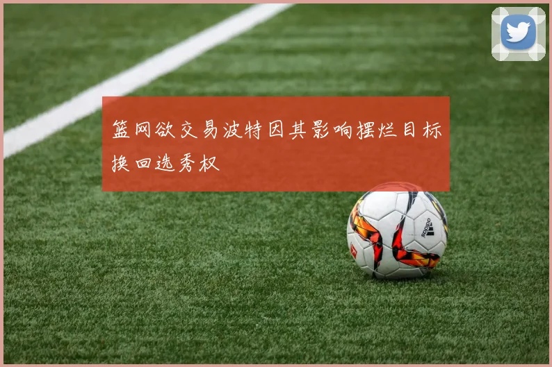 篮网欲交易波特因其影响摆烂目标换回选秀权